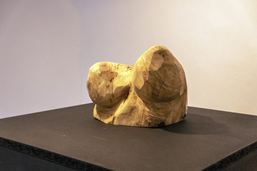 Maximilian Pintea - Bustibupsi , poplar root, 21 x 28 x 23 cm